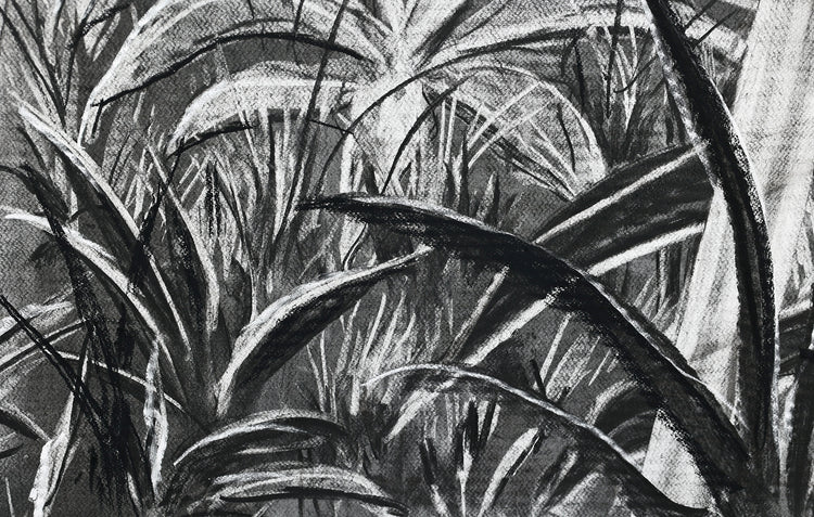 
The Time is Now by Dominic Virtosu: original work, 200x150cm / 78.74x59.06 in, Charcoal on Paper, 2024 (view 11)