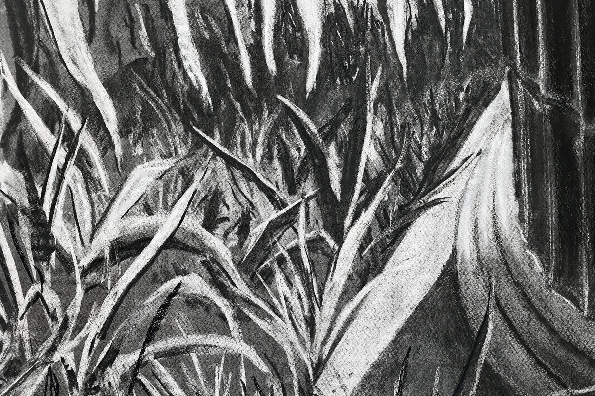 
The Time is Now by Dominic Virtosu: original work, 200x150cm / 78.74x59.06 in, Charcoal on Paper, 2024 (view 14)