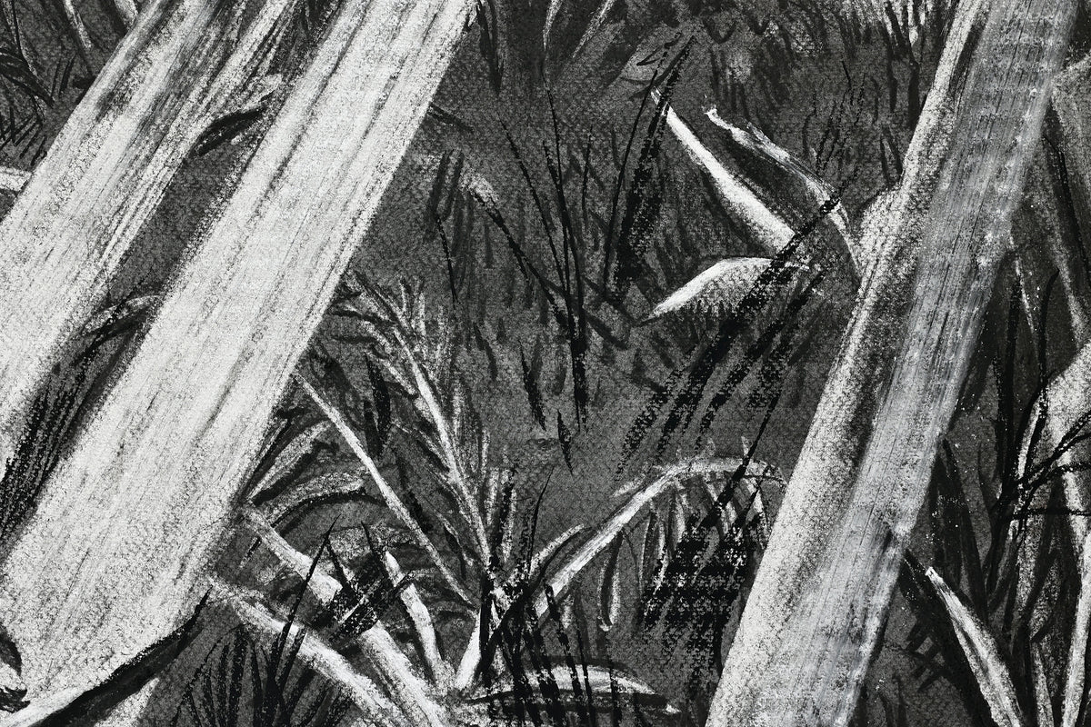 
The Time is Now by Dominic Virtosu: original work, 200x150cm / 78.74x59.06 in, Charcoal on Paper, 2024 (view 16)