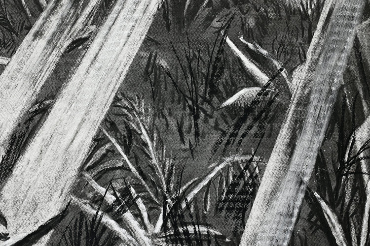 
The Time is Now by Dominic Virtosu: original work, 200x150cm / 78.74x59.06 in, Charcoal on Paper, 2024 (view 16)