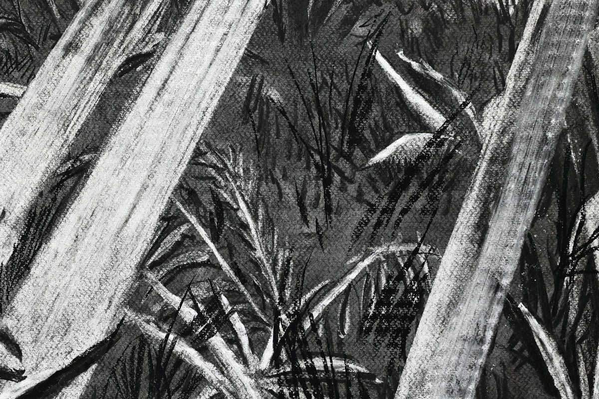 
The Time is Now by Dominic Virtosu: original work, 200x150cm / 78.74x59.06 in, Charcoal on Paper, 2024 (view 17)