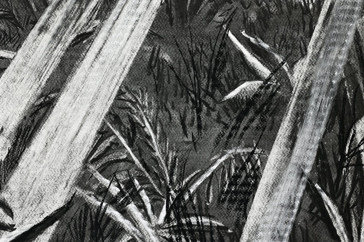 
The Time is Now by Dominic Virtosu: original work, 200x150cm / 78.74x59.06 in, Charcoal on Paper, 2024 (view 17)