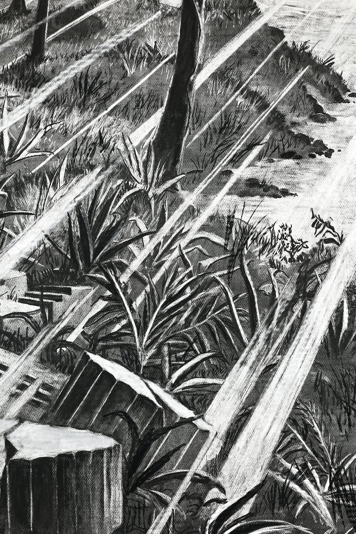 
The Time is Now by Dominic Virtosu: original work, 200x150cm / 78.74x59.06 in, Charcoal on Paper, 2024 (view 26)