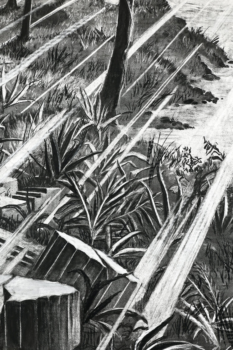 
The Time is Now by Dominic Virtosu: original work, 200x150cm / 78.74x59.06 in, Charcoal on Paper, 2024 (view 26)