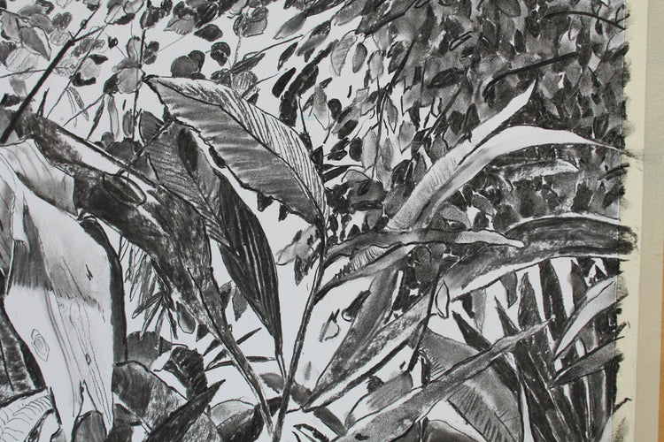 
Thick Jungle by Dominic Virtosu: original work, 70x50cm / 27x19 in, charcoal on paper, 2020 (view 2)