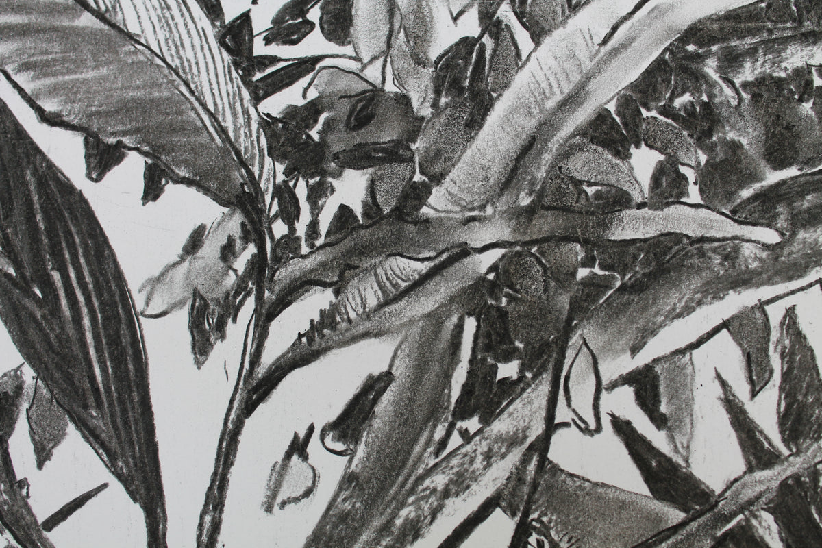 
Thick Jungle by Dominic Virtosu: original work, 70x50cm / 27x19 in, charcoal on paper, 2020 (view 3)