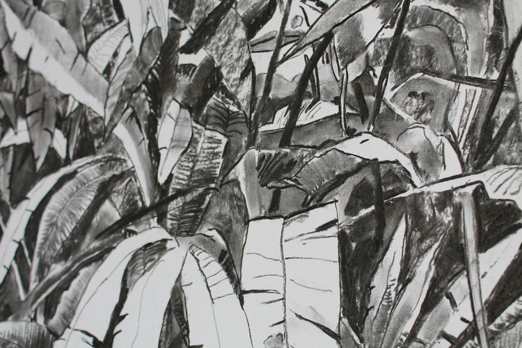 
Thick Jungle by Dominic Virtosu: original work, 70x50cm / 27x19 in, charcoal on paper, 2020 (view 4)