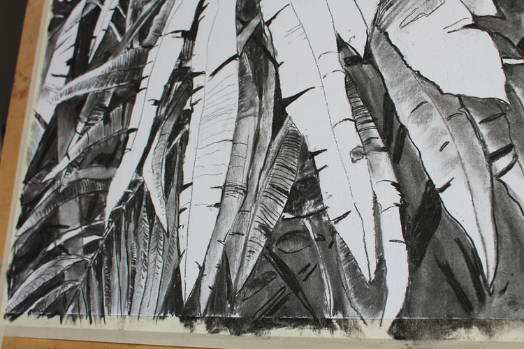 
Thick Jungle by Dominic Virtosu: original work, 70x50cm / 27x19 in, charcoal on paper, 2020 (view 6)