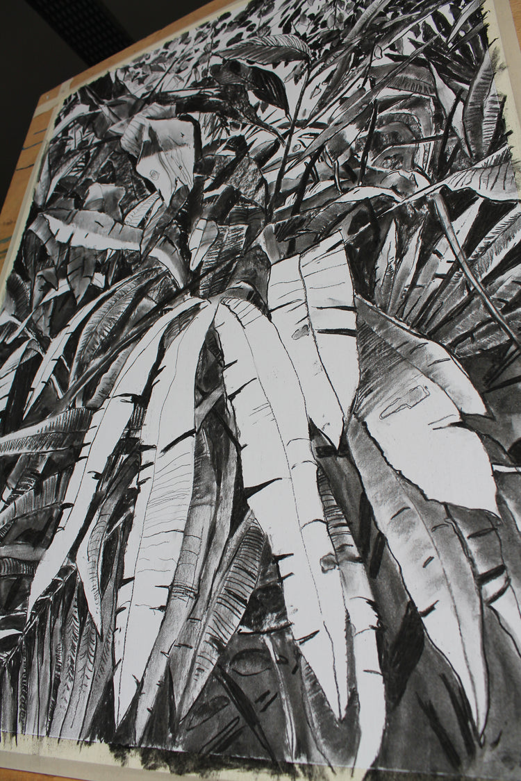 
Thick Jungle by Dominic Virtosu: original work, 70x50cm / 27x19 in, charcoal on paper, 2020 (view 7)