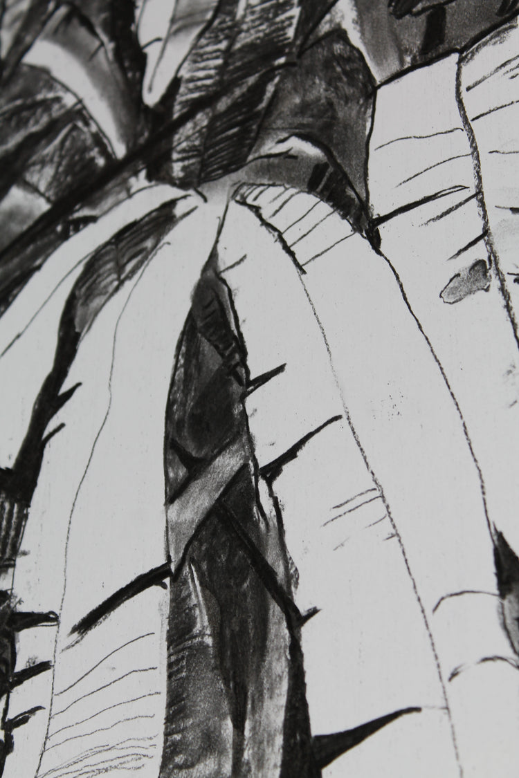 
Thick Jungle by Dominic Virtosu: original work, 70x50cm / 27x19 in, charcoal on paper, 2020 (view 8)