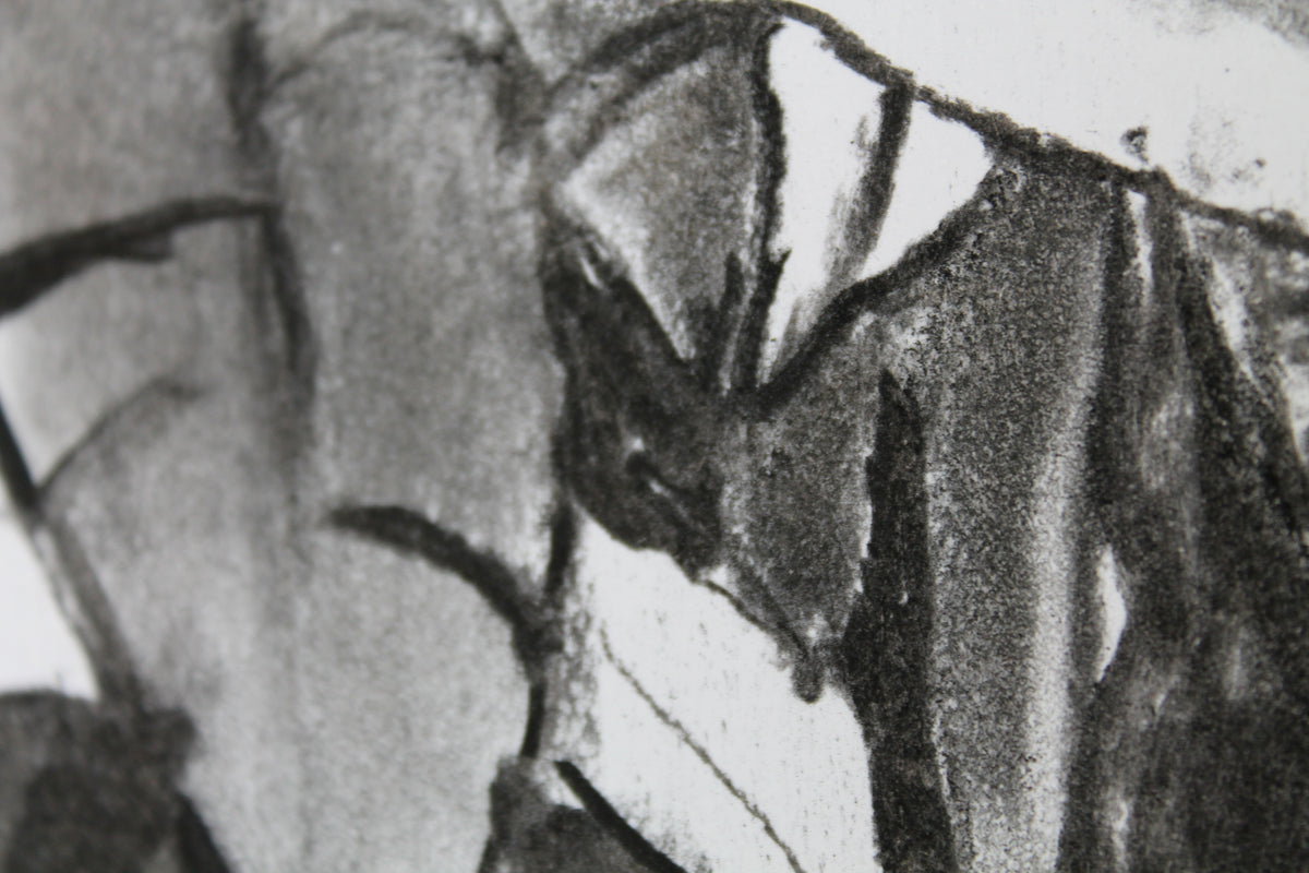 
Thick Jungle by Dominic Virtosu: original work, 70x50cm / 27x19 in, charcoal on paper, 2020 (view 9)