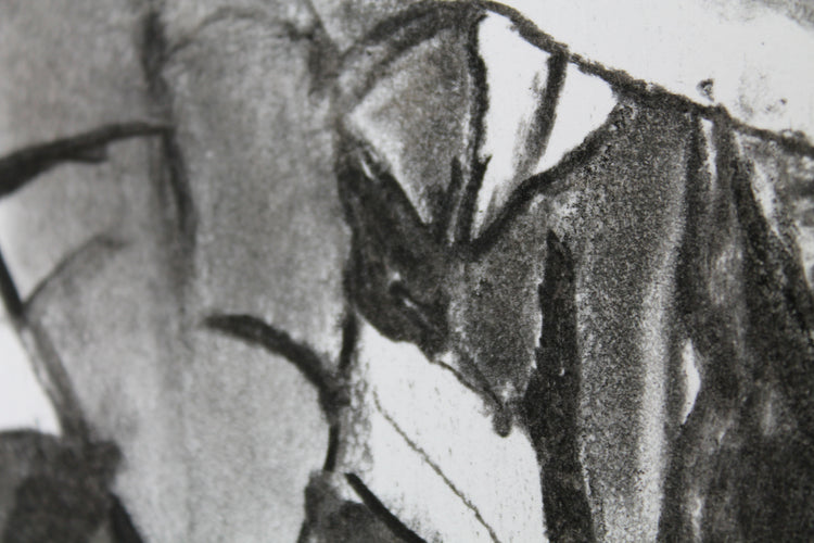 
Thick Jungle by Dominic Virtosu: original work, 70x50cm / 27x19 in, charcoal on paper, 2020 (view 9)