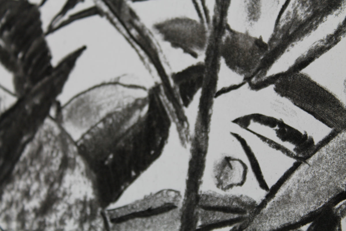
Thick Jungle by Dominic Virtosu: original work, 70x50cm / 27x19 in, charcoal on paper, 2020 (view 10)