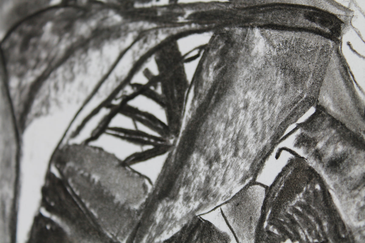 
Thick Jungle by Dominic Virtosu: original work, 70x50cm / 27x19 in, charcoal on paper, 2020 (view 11)