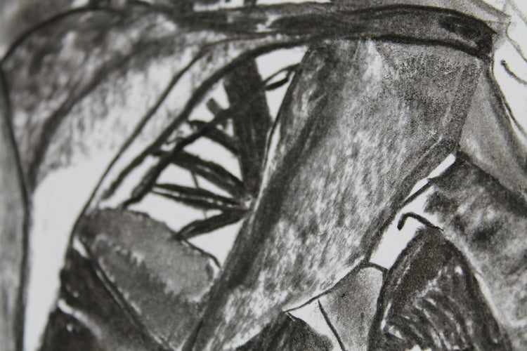 
Thick Jungle by Dominic Virtosu: original work, 70x50cm / 27x19 in, charcoal on paper, 2020 (view 11)