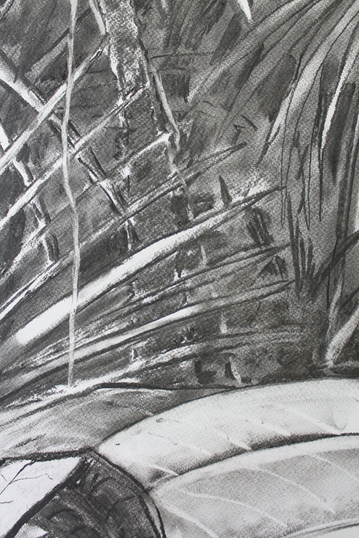 
Into the Wild by Dominic Virtosu: original work, 152x135cm / 53.1x59.8 in, charcoal on paper, 2020 (view 10)