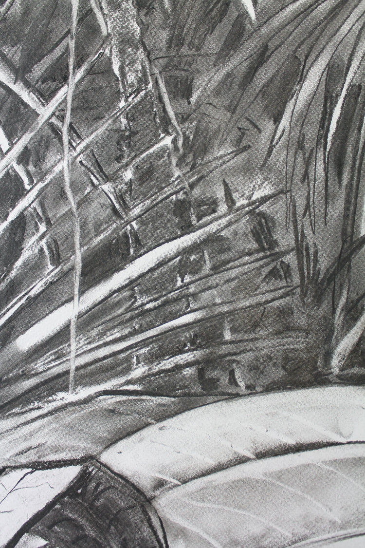 
Into the Wild by Dominic Virtosu: original work, 152x135cm / 53.1x59.8 in, charcoal on paper, 2020 (view 10)