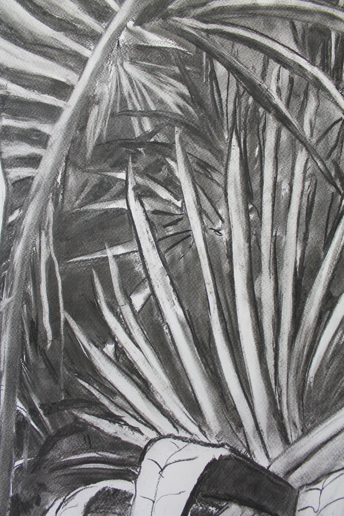 
Into the Wild by Dominic Virtosu: original work, 152x135cm / 53.1x59.8 in, charcoal on paper, 2020 (view 11)