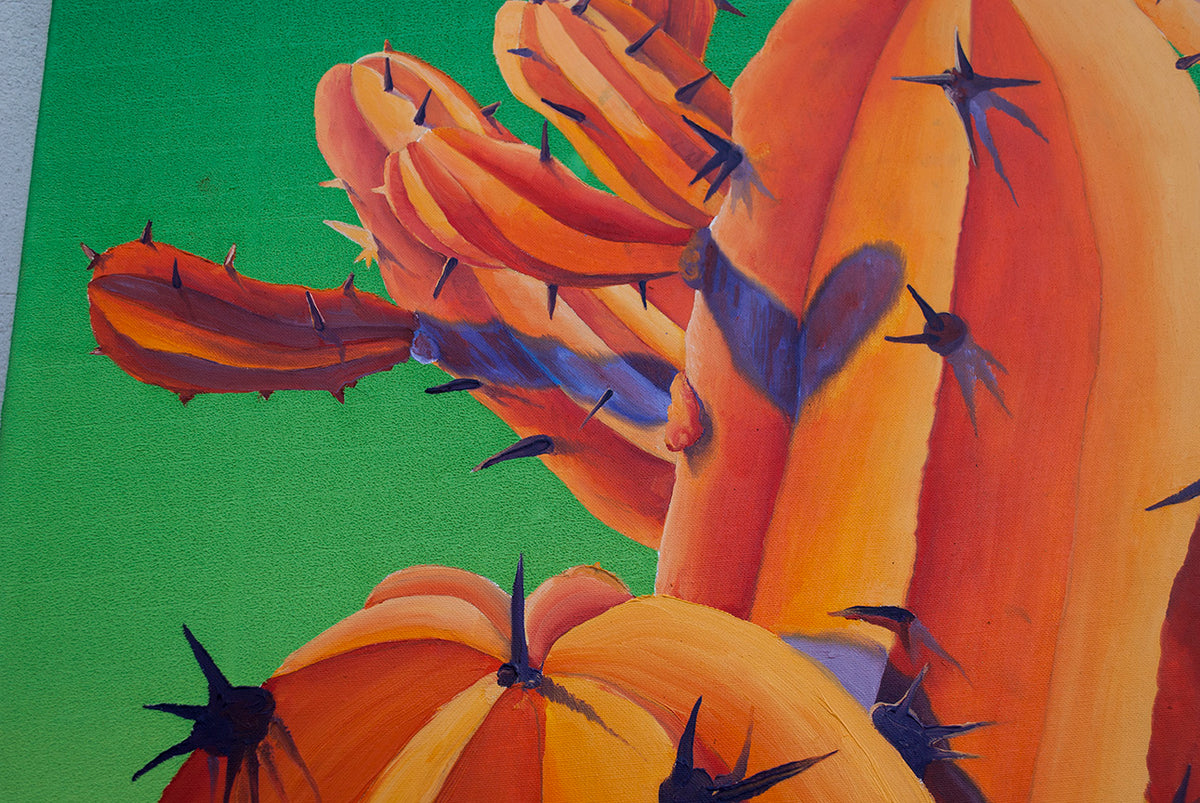 
Orange Beauty on Green detail of the work spikes of the cactus