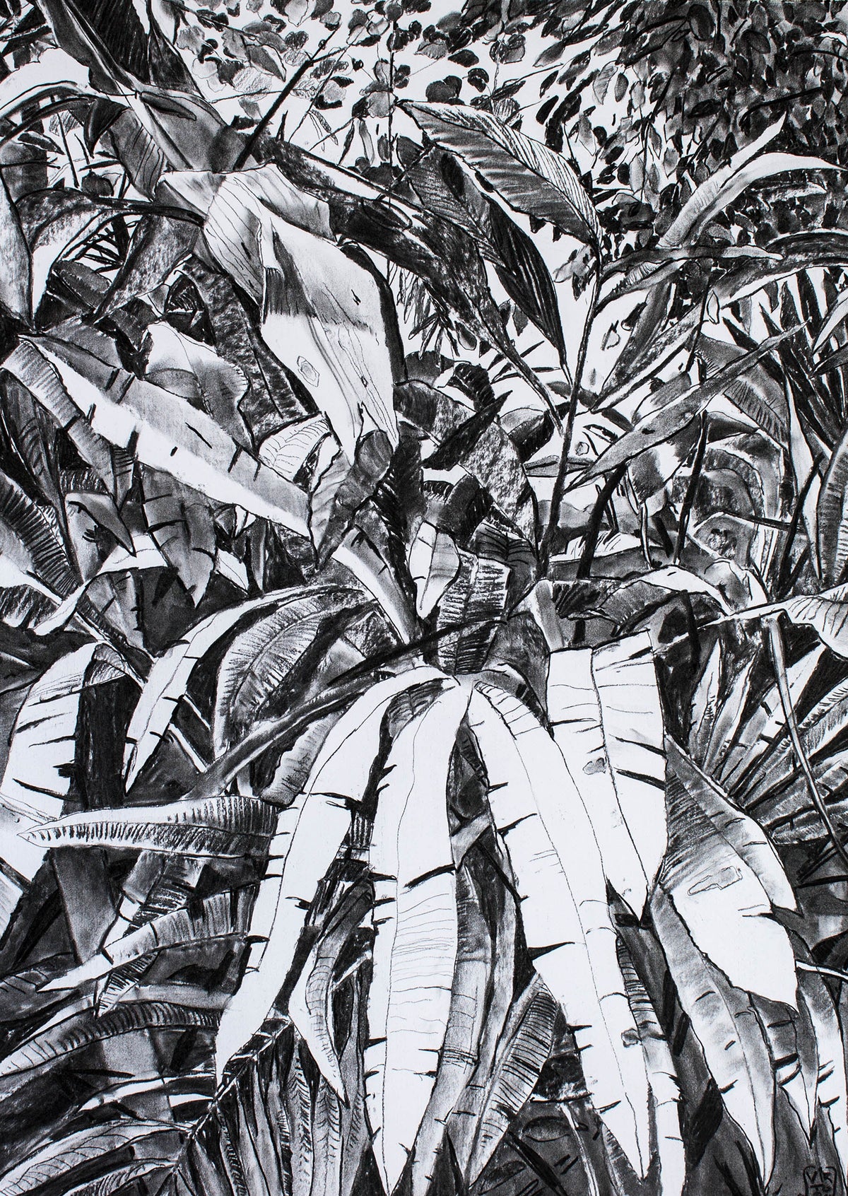 
Thick Jungle by Dominic Virtosu: original work, 70x50cm / 27x19 in, charcoal on paper, 2020