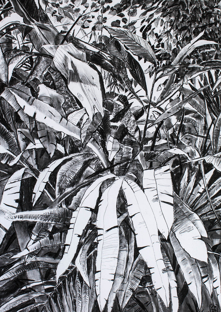 
Thick Jungle by Dominic Virtosu: original work, 70x50cm / 27x19 in, charcoal on paper, 2020