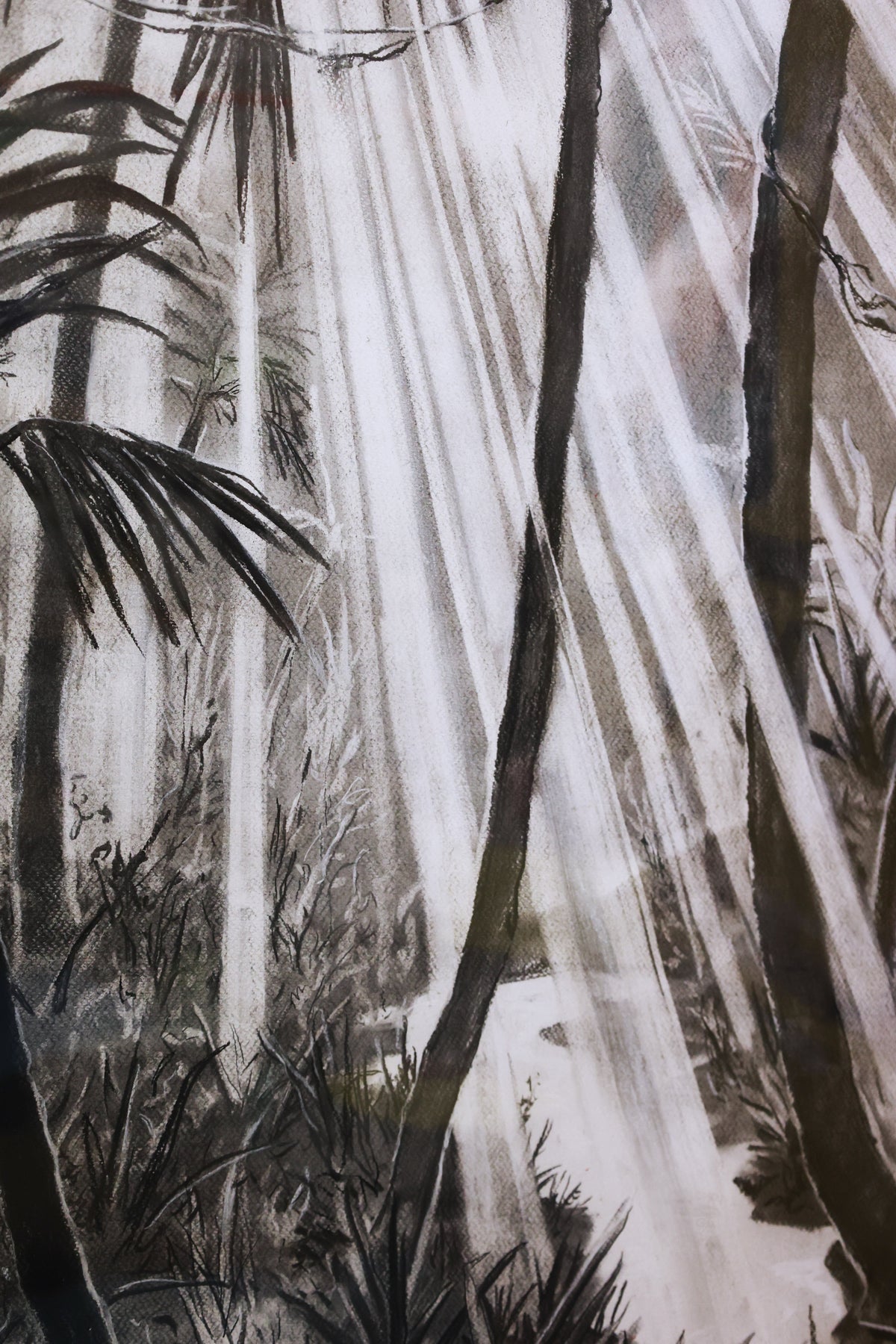 
Tropical Dream by Dominic Virtosu: original work, 115x95cm / 45.2x37.4 in, charcoal on paper, 2022, framed under glass (view 17)