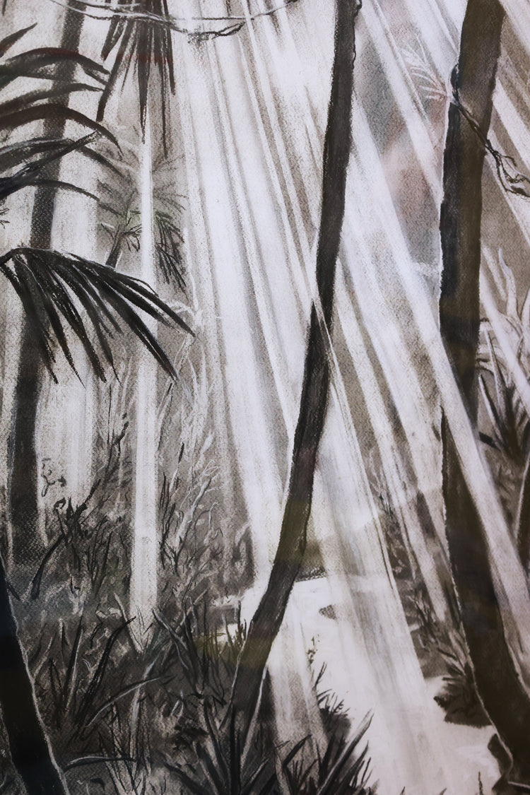 
Tropical Dream by Dominic Virtosu: original work, 115x95cm / 45.2x37.4 in, charcoal on paper, 2022, framed under glass (view 17)