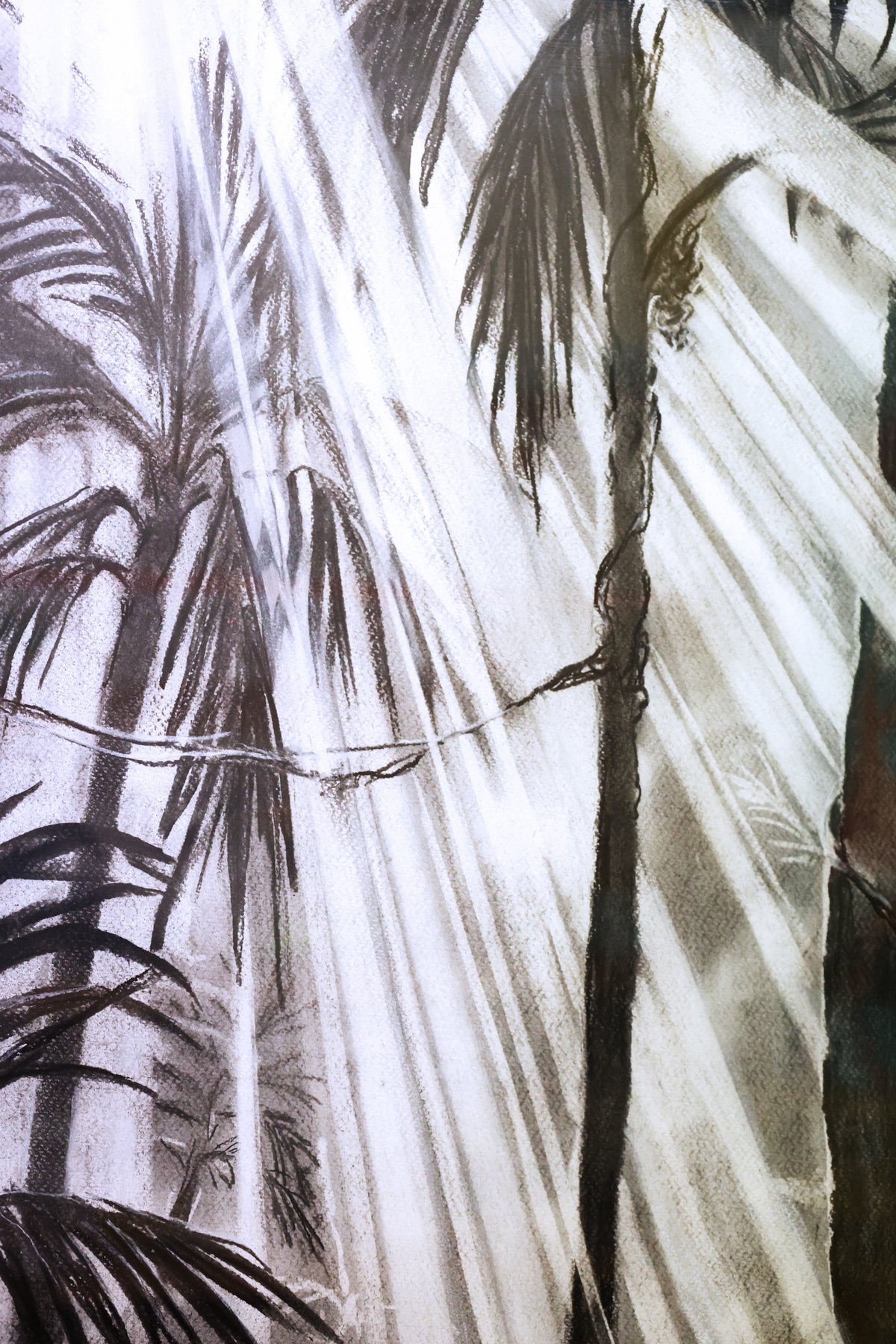 
Tropical Dream by Dominic Virtosu: original work, 115x95cm / 45.2x37.4 in, charcoal on paper, 2022, framed under glass (view 8)