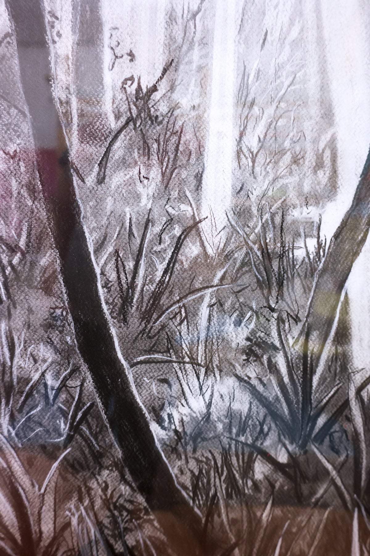 
Tropical Dream by Dominic Virtosu: original work, 115x95cm / 45.2x37.4 in, charcoal on paper, 2022, framed under glass (view 11)