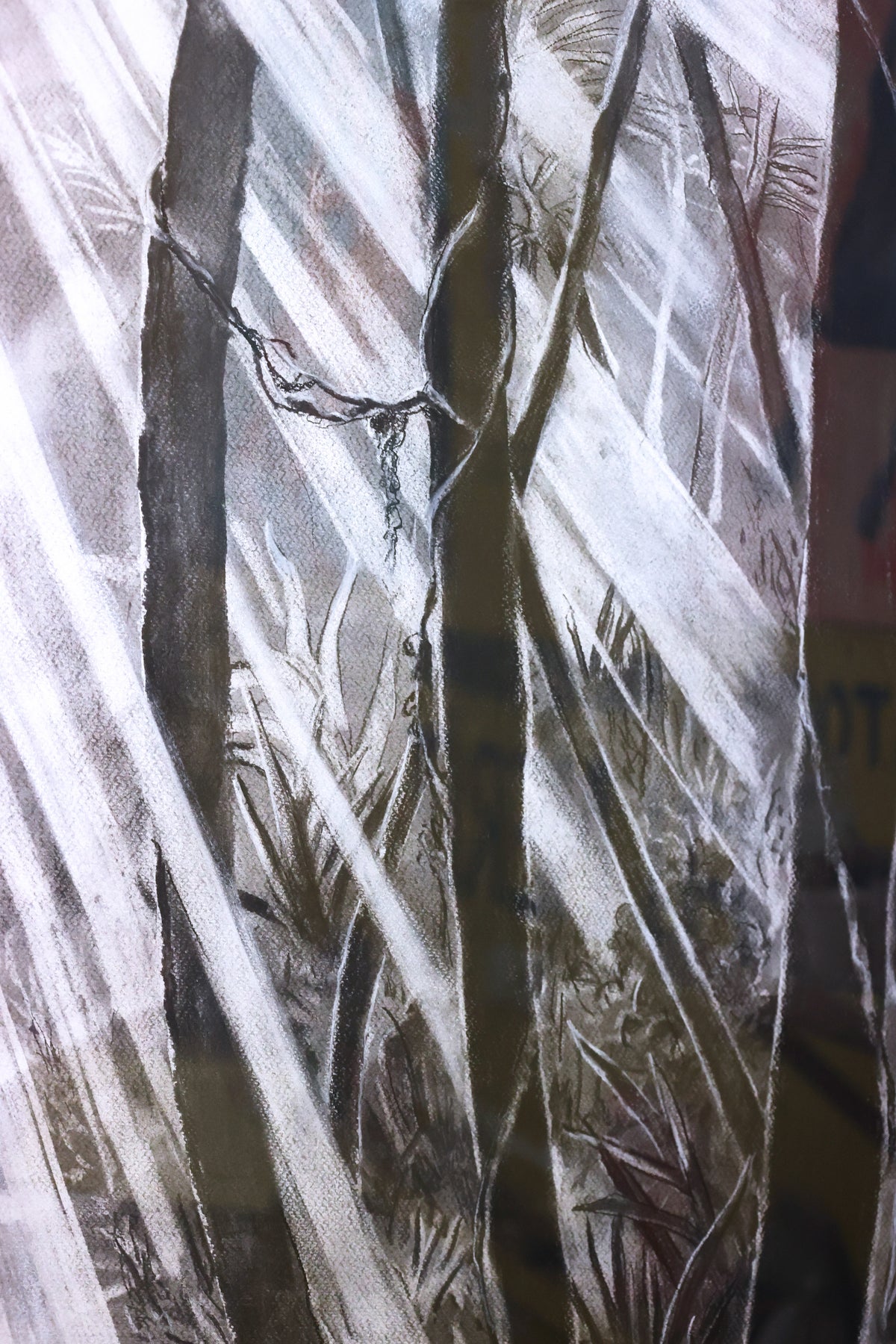 
Tropical Dream by Dominic Virtosu: original work, 115x95cm / 45.2x37.4 in, charcoal on paper, 2022, framed under glass (view 9)