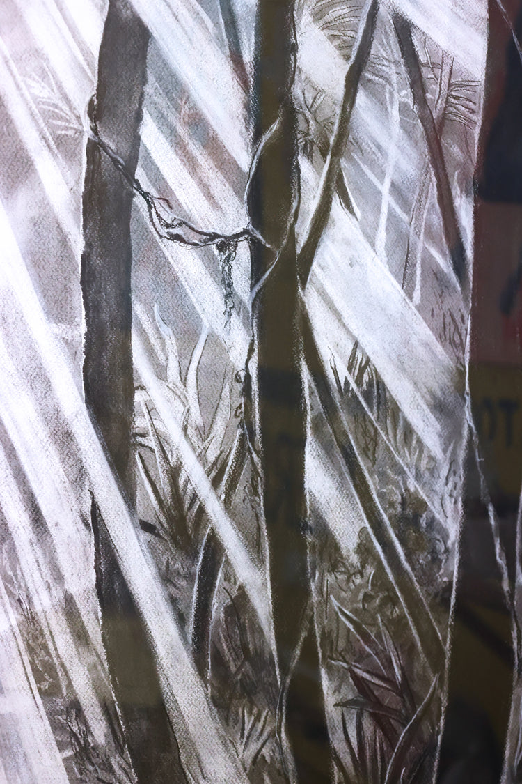 
Tropical Dream by Dominic Virtosu: original work, 115x95cm / 45.2x37.4 in, charcoal on paper, 2022, framed under glass (view 9)